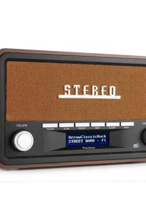 Audizio FOGGIA Radio DAB+ Portable Stéréo 50W - Cuivre - Prix usine