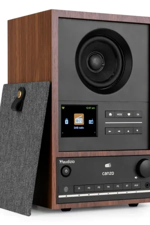 Audizio Canzo - Radio Internet WiFi avec DAB/FM et Bluetooth - Noyer | Disponible maintenant