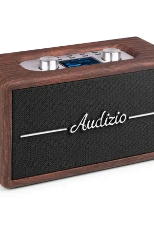 Audizio Tune60 - Enceinte Portable BT Rétro Noyer avec Radio DAB+ / FM, USB et Télécommande - Haut-parleur Vintage Mobile 40W - Économisez maintenant