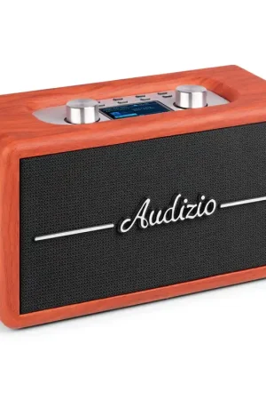 Audizio Tune60 - Enceinte Portable BT Rétro en Cerisier avec Radio DAB+ / FM, USB et Télécommande - Haut-parleur Vintage Mobile 40W | Excellente qualité