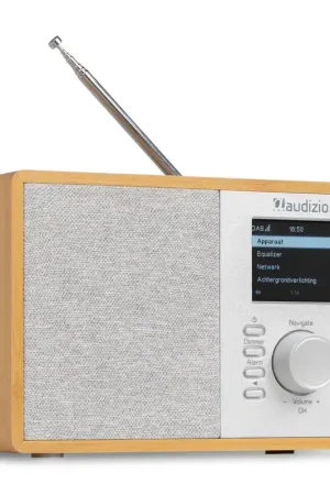 Audizio Cosa - Radio Internet DAB+ et FM, BT, Wi-Fi - Bambou | Commandez maintenant