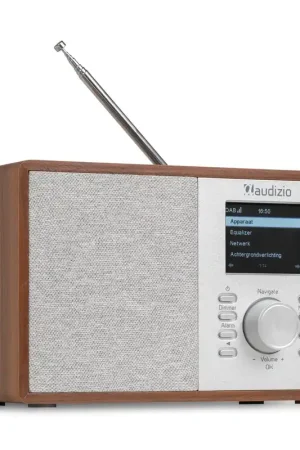 Audizio Cosa - Radio Internet DAB+ et FM, BT, Wi-Fi - Noyer - Bien noté