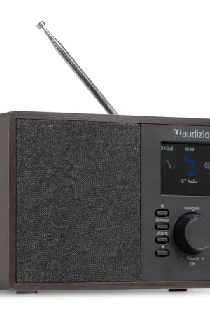 Audizio Cosa - Radio Internet DAB+ et FM, BT, Wi-Fi - Ébène | Prix usine