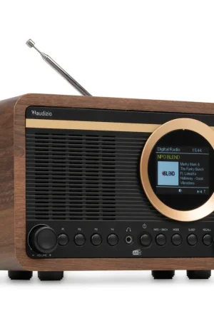 Envoi rapide | Audizio Ovaro - Radio DAB+ Rétro Bluetooth FM 20W - Noyer