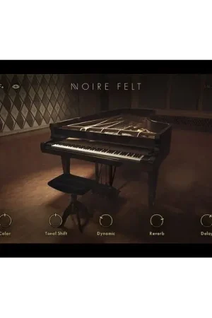 Bonne affaire | Native Instruments Noire