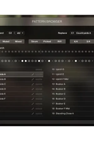 Native Instruments Session Guitarist Picked Acou. | À ne pas manquer
