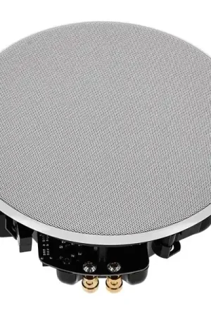 Coup de cœur | Sirus Ceil 5 White