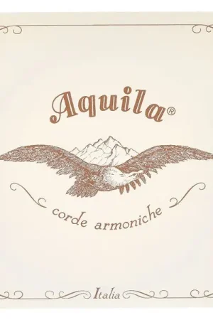 Tout juste disponible - Aquila 104D140 Wound NG Lute String