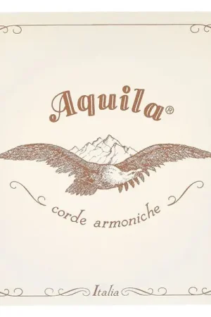 Aujourd'hui seulement | Aquila 160D140 Wound NG Lute String