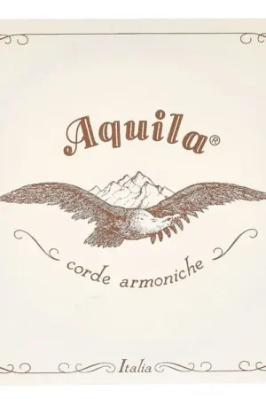 Aquila 200D140 Wound NG Lute String | Produit phare
