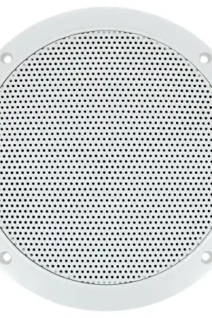 Très demandé - Visaton FR 16 WP CL 100 V