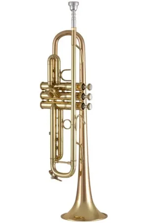 Bach 17043GY Bb-Trumpet - Affaire à saisir