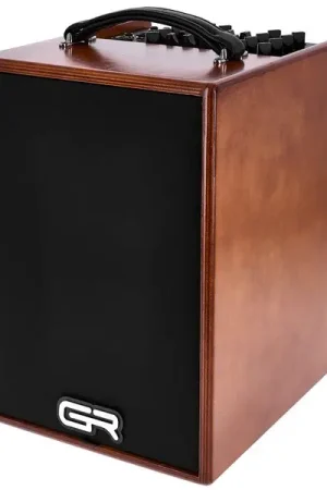Bien noté | GRGuitar WDAC8 Acoustic Combo Wood