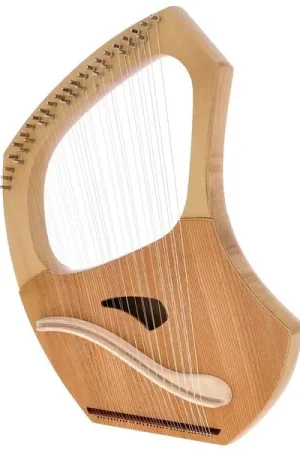 Disponible maintenant | Choroi Soprano Lyre Student