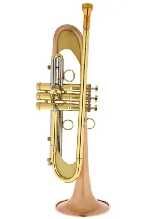 Dernières pièces | Taylor Trumpets Chicago Custom Bb-Trumpet