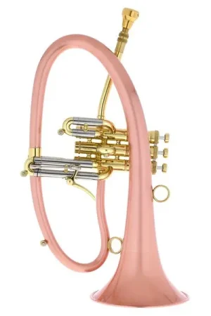 Taylor Trumpets Phat Boy | Expédition immédiate