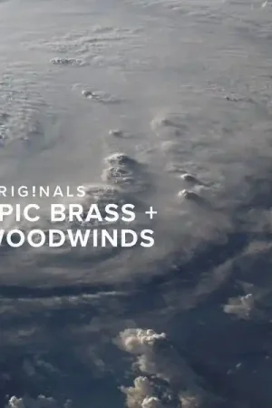 Spitfire Audio Orig. Epic Brass and Woodwinds - Prix promo