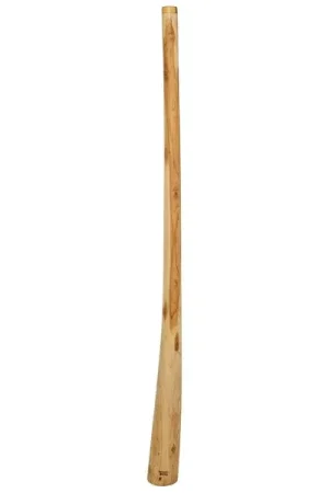 Thomann Didgeridoo Teak 150 cm NT F | Ne manquez pas cette offre