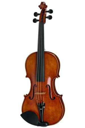 Très apprécié des clients - Franz Sandner Century De Luxe Strad. Pro Vn