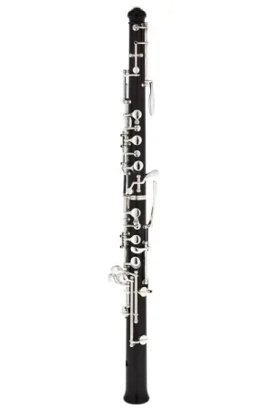 Très bien noté | Oscar Adler & Co. 100F Oboe Children Model