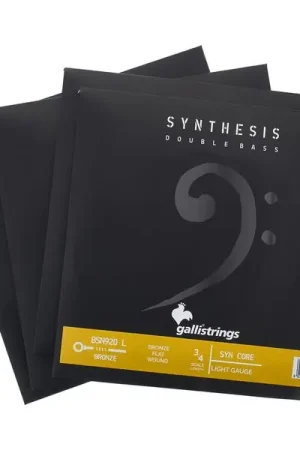 Galli Strings BSN920L Double Bass Strings - Derniers exemplaires