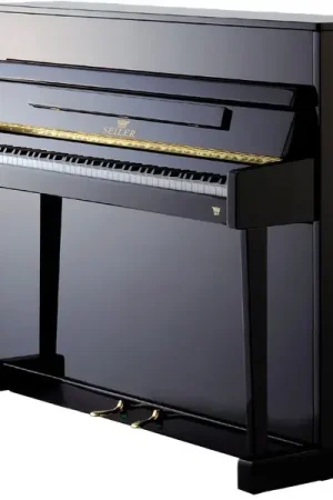 Nouveau - Seiler 116 Ritmo, black mat