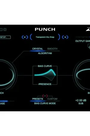 Zynaptiq Punch | Offre à durée limitée