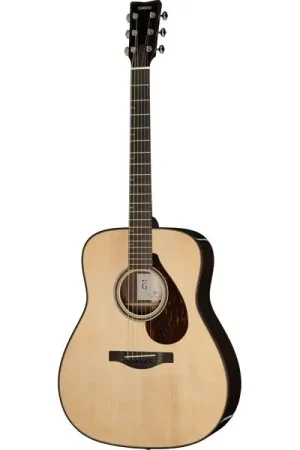 Aujourd'hui seulement | Yamaha FG9 RX