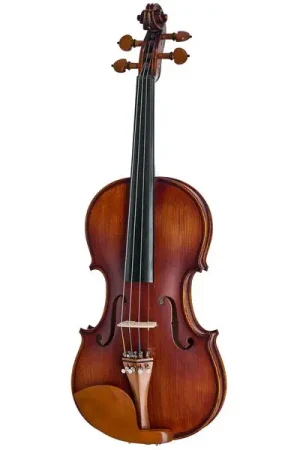 Liquidation | Roth & Junius Europe Orchestra Violin St/Bw