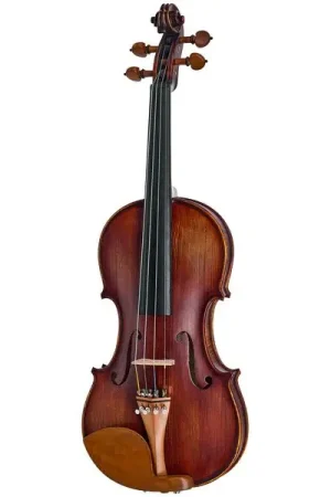 Coup de cœur | Roth & Junius Europe Orchestra Violin Gu/Bw