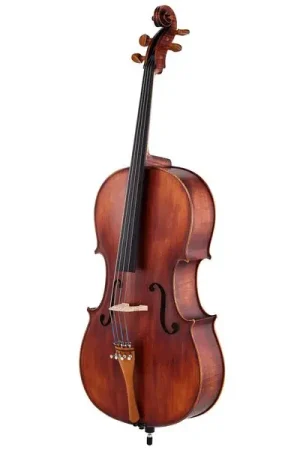 Cette semaine uniquement | Roth & Junius Europe Orchestra Cello An/Bw