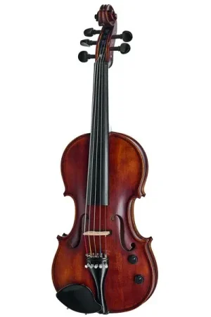 Roth & Junius Acoustic-Electric Violin 5-Str | Profitez-en