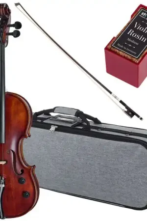 Super prix - Roth & Junius Acoustic-Electric 5-Str Vn Set