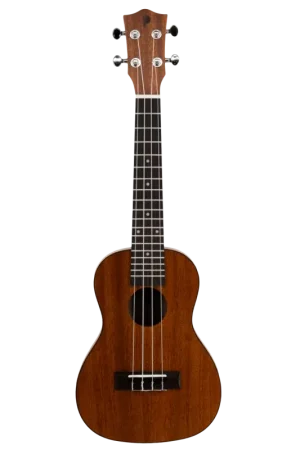 Ukulele Prodipe Guitars BC210 Concert | Retour facile