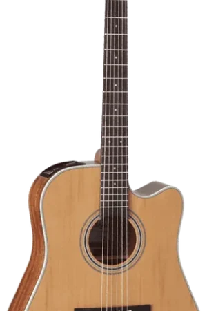 Takamine GD20CENS Naturel Satin | Coup de cœur des clients