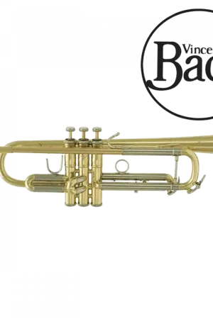 À ne pas manquer | Trompette Sib Bach VBS1 Verni
