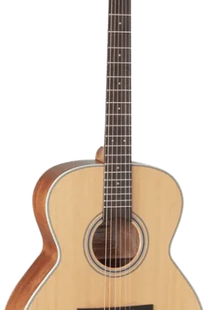 Takamine GN20NS Naturel | Disponible maintenant