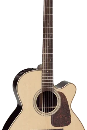 Tout juste arrivé - Takamine P5NC Naturel