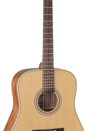 Prix choc - Takamine GD20-NS Naturel