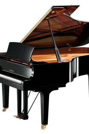 Qualité supérieure - Yamaha C6XSH3PE Silent