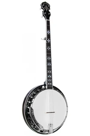 Offre limitée - Banjo Bluegrass 5 Cordes Gold Tone BG-150F