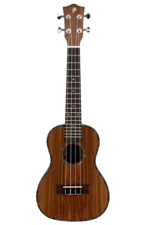 Qualité professionnelle - Ukulele Prodipe Guitars BC2380 Concert