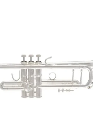 Trompette Sib Bach Stradivarius 180SMLV | Plus que quelques jours