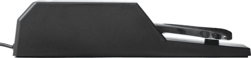 Alesis Pedale ASP-2 - Remise
