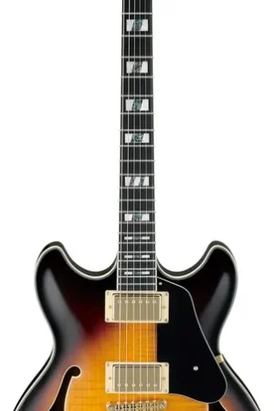 Meilleure vente | Ibanez JSM10-VYS Vintage Yellow Sunburst