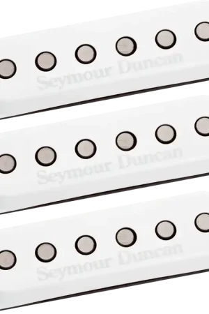 Paiement sécurisé | Micro Guitare Seymour Duncan SSL-3-CSET