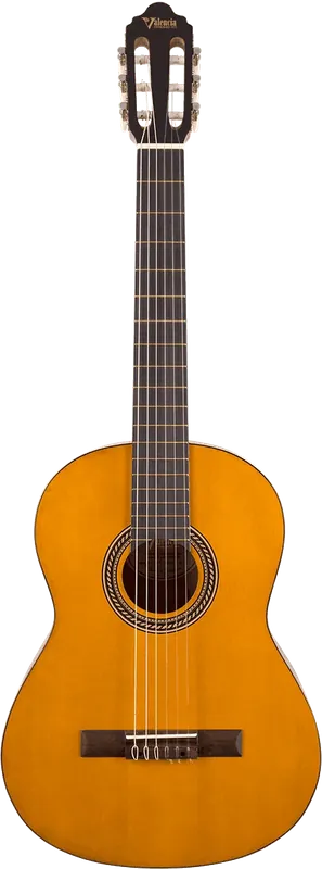 Valencia VC204 4/4 Naturel Vintage - Achat sécurisé
