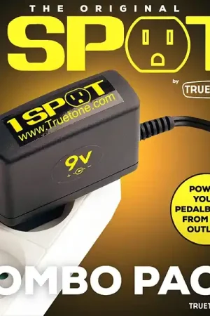 Plus que quelques articles | Alimentation Truetone 1 Spot Combo