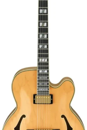 Ibanez PM200-NT Naturel | Prix promo