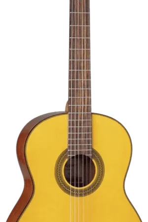 Bonne affaire | Takamine GC1-NAT Naturel